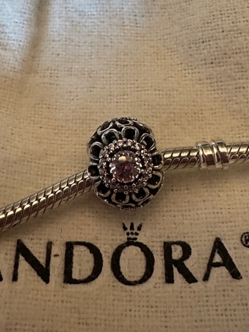 Pandora Floral Brilliance Charm